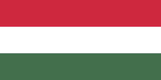 Macaristan Forint